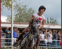 1FESTIGOTTE - 0454